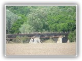 Debris on train bridge by 249 and Hwy 70 in Pegram, TN.